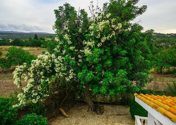 Casa vacanze Capers *